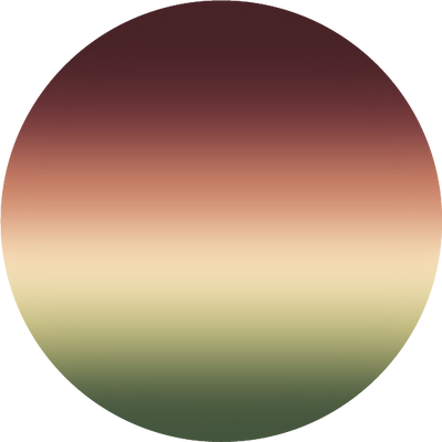 The Polarized Tortoise Sun Top