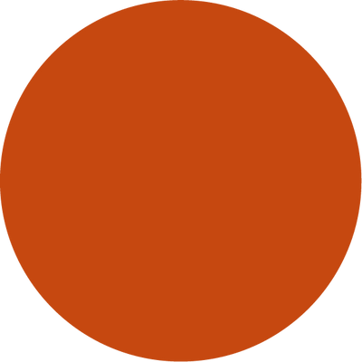 The Polarized Tortoise Sun Top