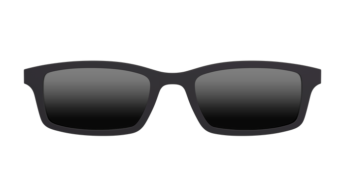 The Polarized Black Sun Top