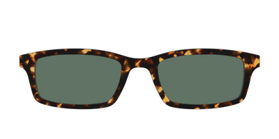 The Non-Polarized Green Tortoise Sun Top - Front Top Thumbnail - Pair Eyewear