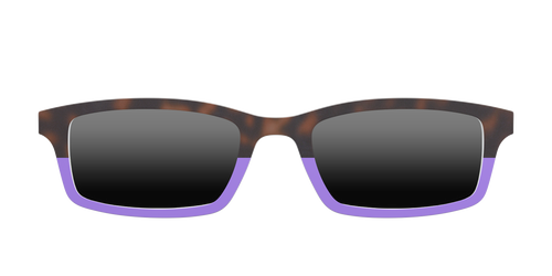 The Polarized Purple Tortoise Sun Top - Pair Eyewear