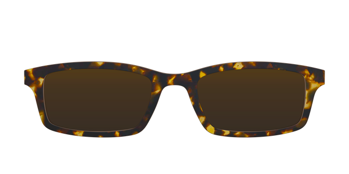 The Polarized Tortoise Sun Top