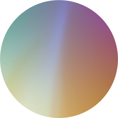 The Polarized Tortoise Sun Top