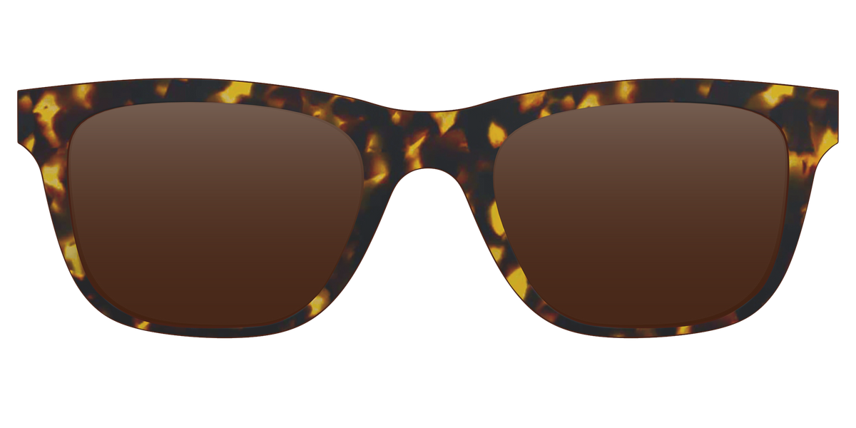 The Polarized Tortoise Sun Top - Front Top Image - Pair Eyewear