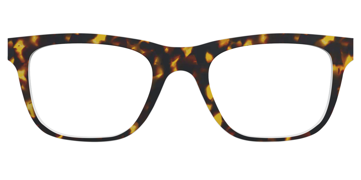 The Tortoise - Front Top Image - Pair Eyewear