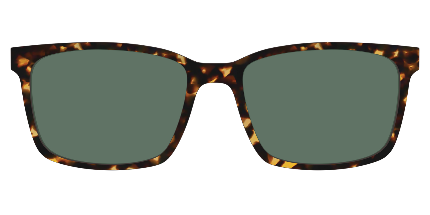The Non-Polarized Green Tortoise Sun Top - Lifestyle Kirby Top Image - Pair Eyewear