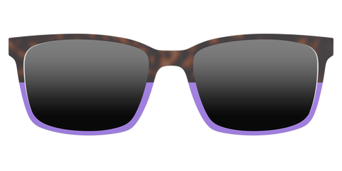 The Polarized Purple Tortoise Sun Top - Kirby Top - Pair Eyewear