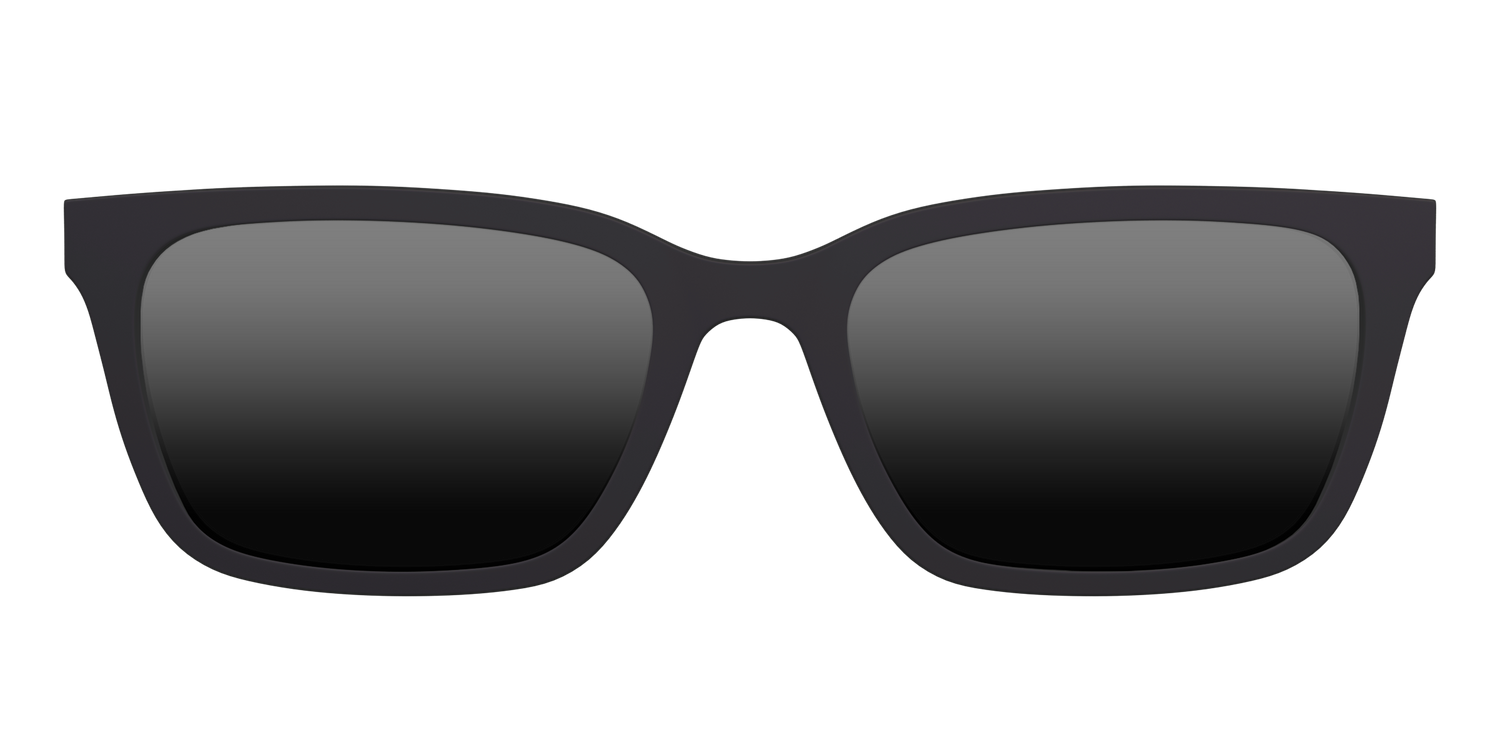 The Polarized Black Sun Top - Front Top Image - Pair Eyewear