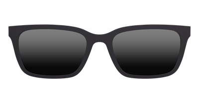 The Polarized Tortoise Sun Top