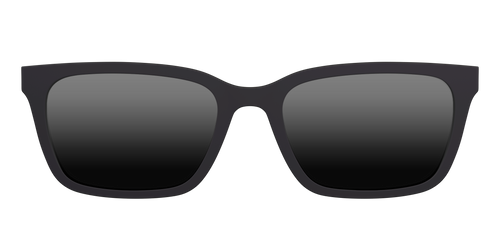 The Polarized Black Sun Top - Pair Eyewear