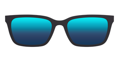 The Polarized Tortoise Sun Top