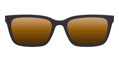 The Polarized Tortoise Sun Top