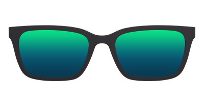 The Polarized Tortoise Sun Top