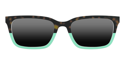 The Polarized Tortoise Sun Top