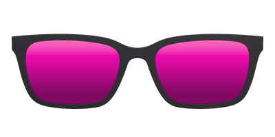 The Polarized Tortoise Sun Top