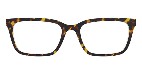 The Tortoise - Pair Eyewear