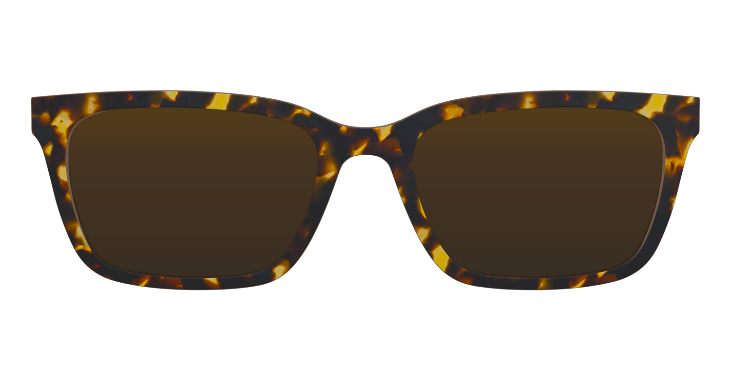 The Polarized Tortoise Sun Top - Front Top Image - Pair Eyewear