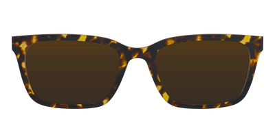 The Polarized Tortoise Sun Top - Front Top Thumbnail - Pair Eyewear