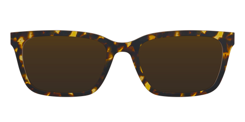 The Polarized Tortoise Sun Top - Pair Eyewear