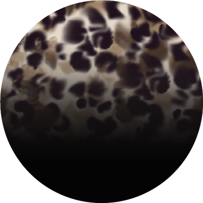 The Polarized Tortoise Sun Top