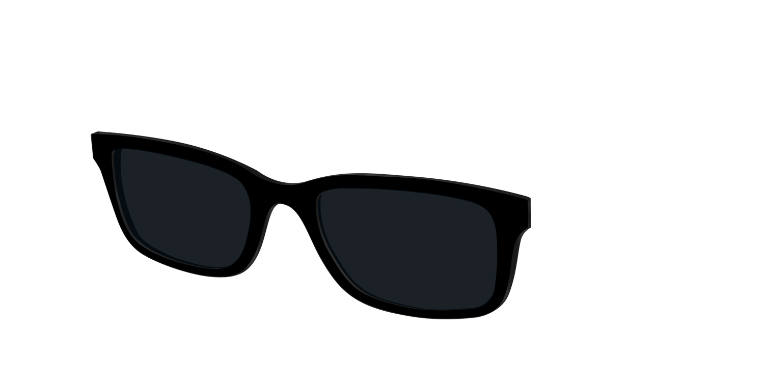 The Non-Polarized Black Sun Top - Angle Top Image - Pair Eyewear