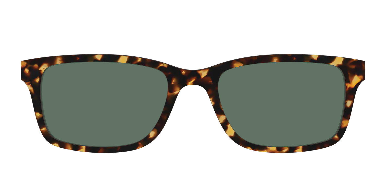 The Non-Polarized Green Tortoise Sun Top - Front Top Image - Pair Eyewear