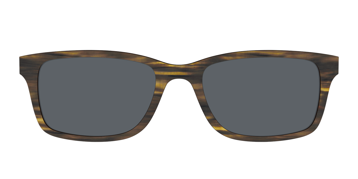 The Polarized Horn Sun Top - Front Top Image - Pair Eyewear