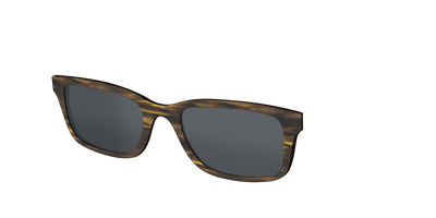 The Polarized Horn Sun Top - Angle Top Thumbnail - Pair Eyewear