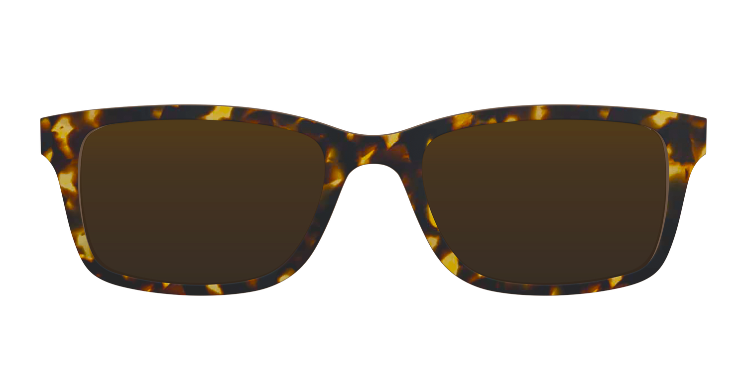 The Polarized Tortoise Sun Top - Front Top Image - Pair Eyewear