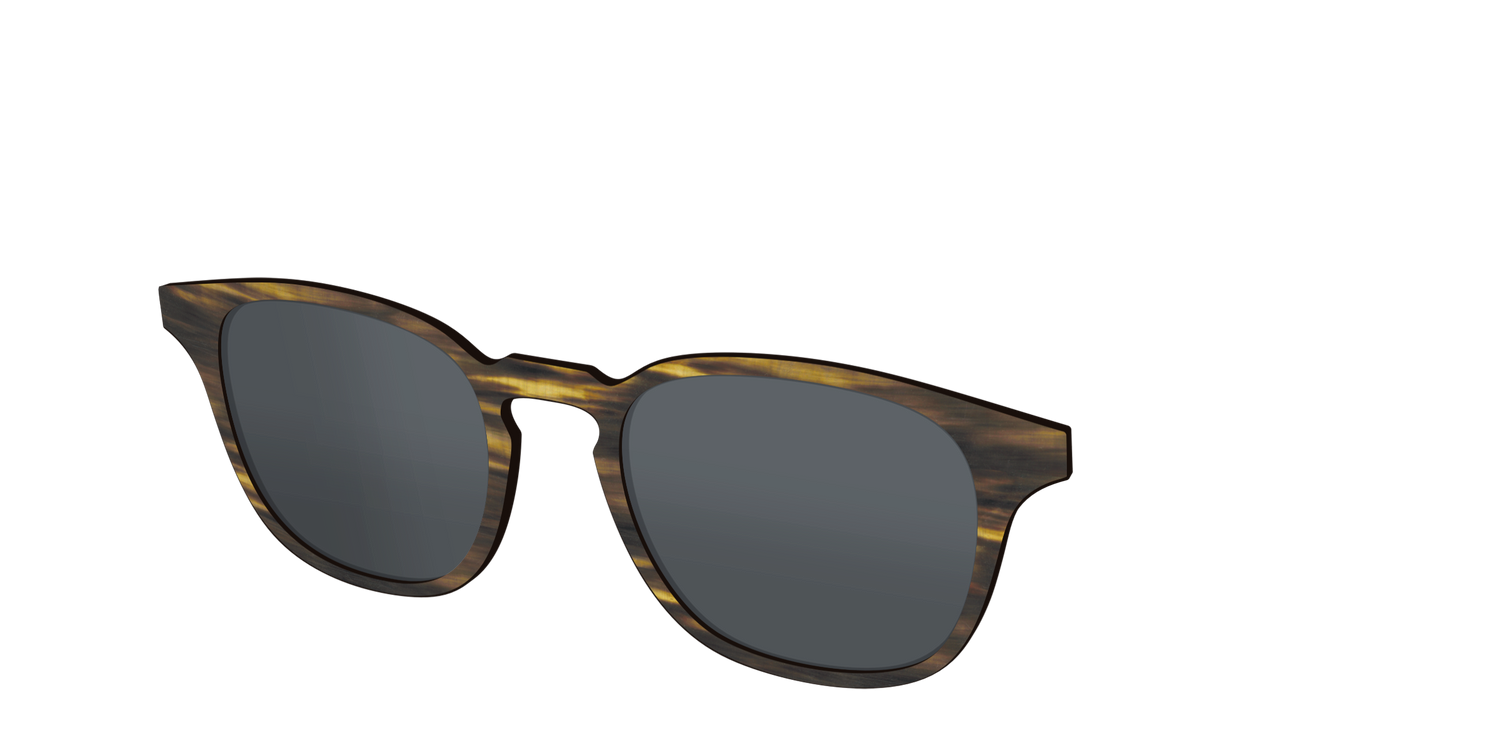 The Polarized Horn Sun Top - Angle Top Image - Pair Eyewear