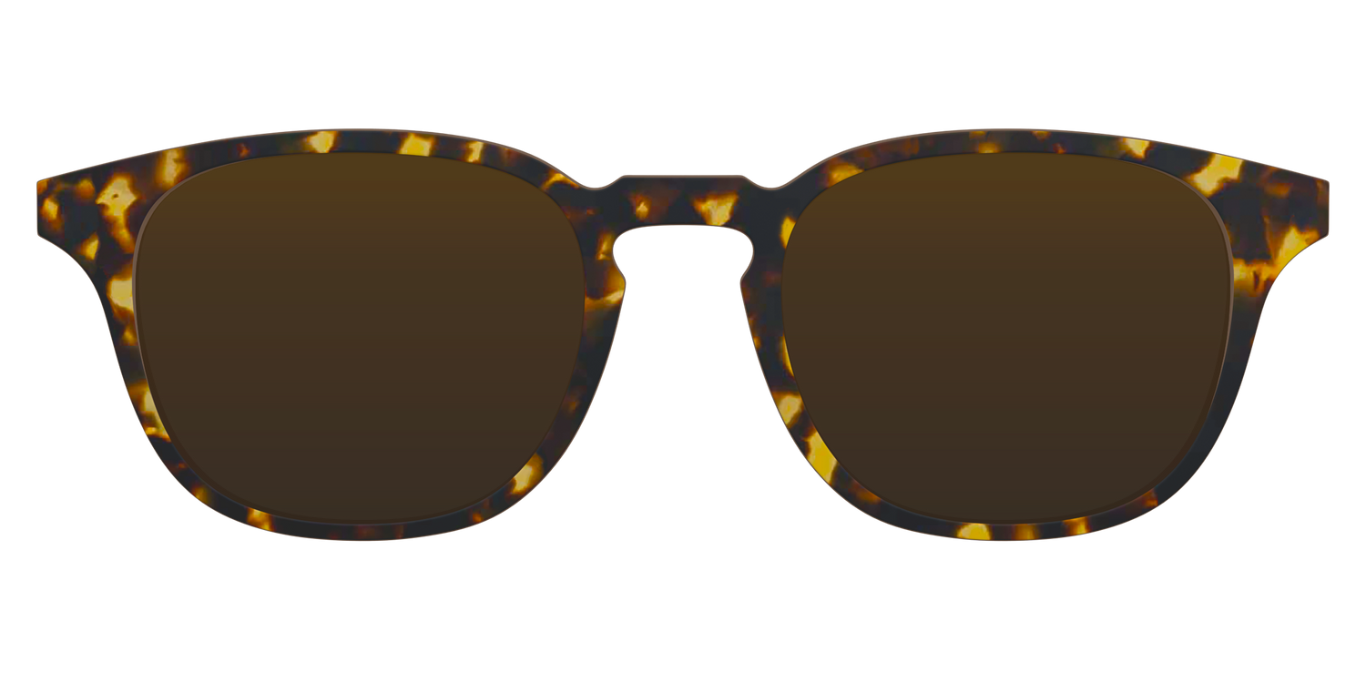 The Polarized Tortoise Sun Top - Front Top Image - Pair Eyewear