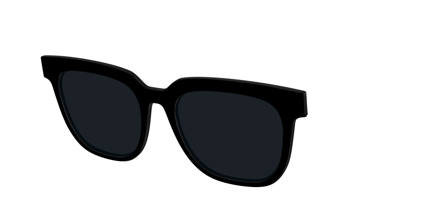 The Non-Polarized Black Sun Top - Angle Top Image - Pair Eyewear