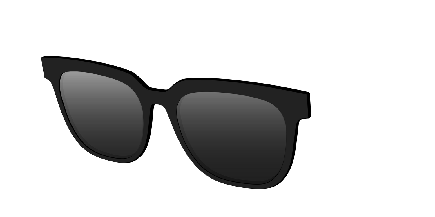 The Polarized Black Sun Top - Angle Top Image - Pair Eyewear