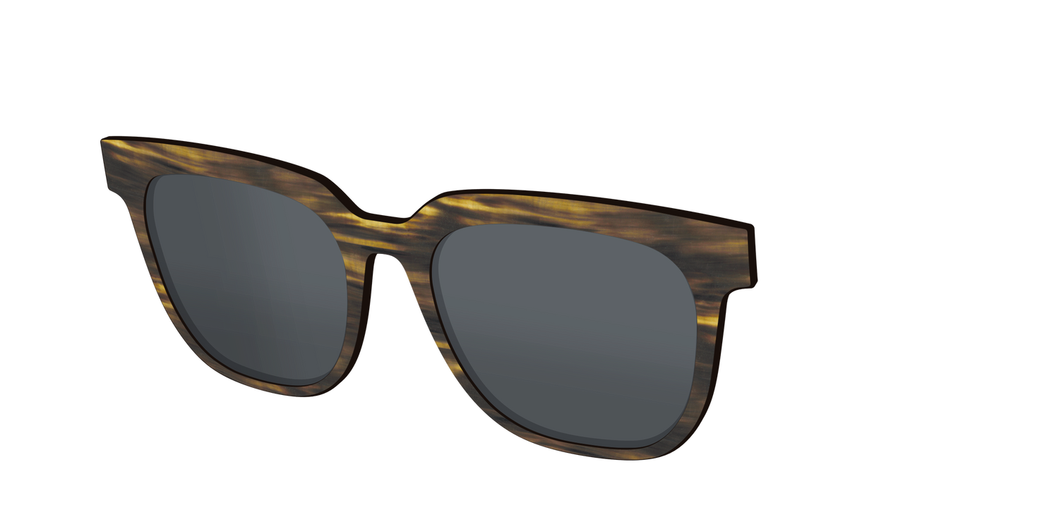 The Polarized Horn Sun Top - Angle Top Image - Pair Eyewear