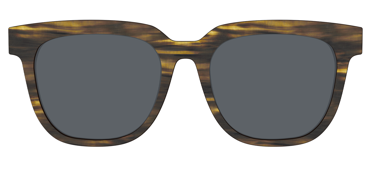 The Polarized Horn Sun Top - Front Top Image - Pair Eyewear