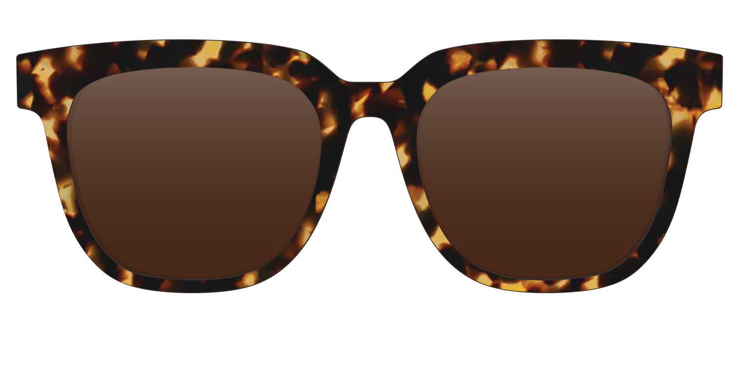 The Polarized Tortoise Sun Top - Front Top Image - Pair Eyewear