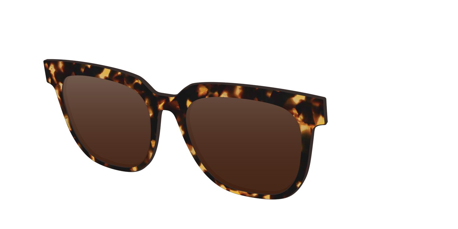 The Polarized Tortoise Sun Top - Angle Top Image - Pair Eyewear