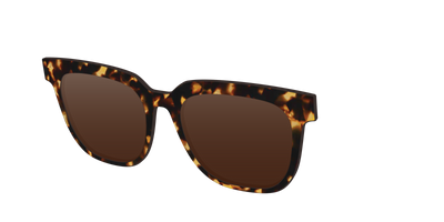The Polarized Tortoise Sun Top - Angle Top Thumbnail - Pair Eyewear