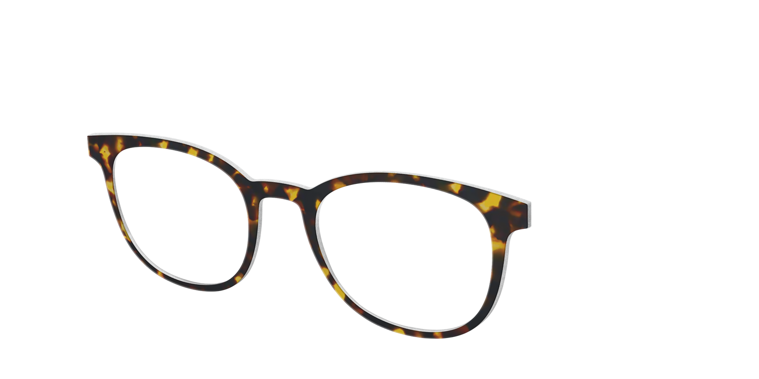 The Tortoise - Angle Top Image - Pair Eyewear