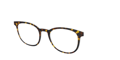 The Tortoise - Angle Top Thumbnail - Pair Eyewear