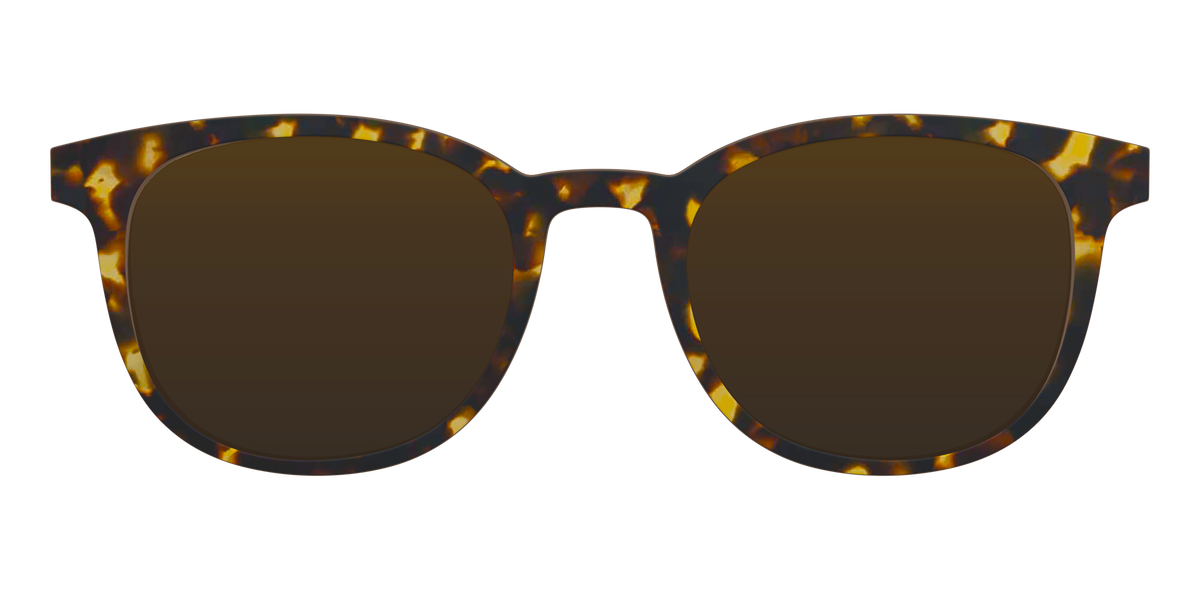 The Polarized Tortoise Sun Top - Front Top Image - Pair Eyewear