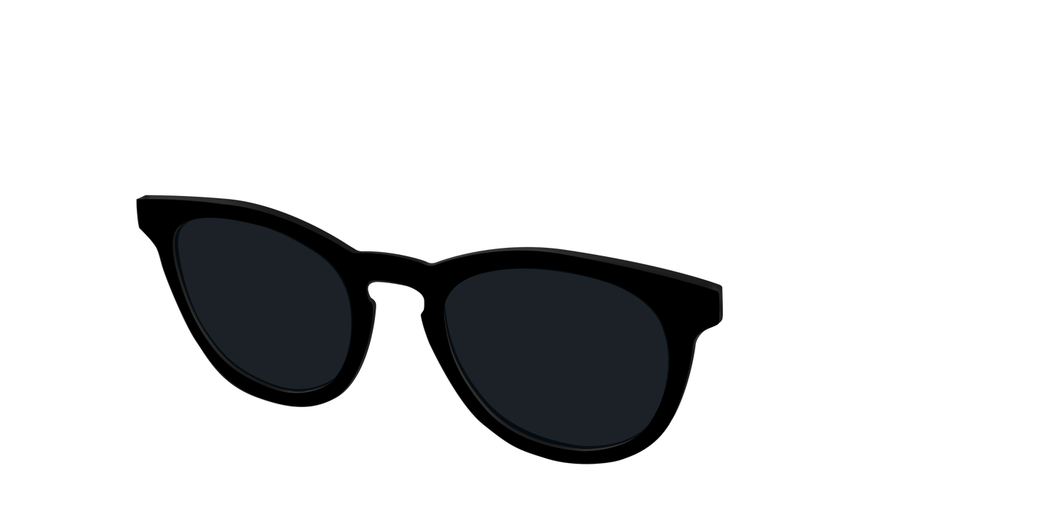 The Non-Polarized Black Sun Top - Angle Top Image - Pair Eyewear