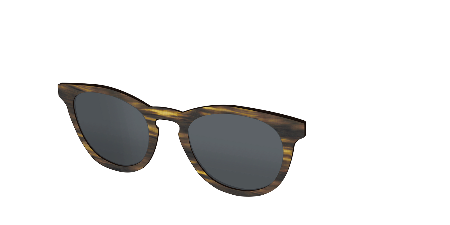 The Polarized Horn Sun Top - Angle Top Image - Pair Eyewear