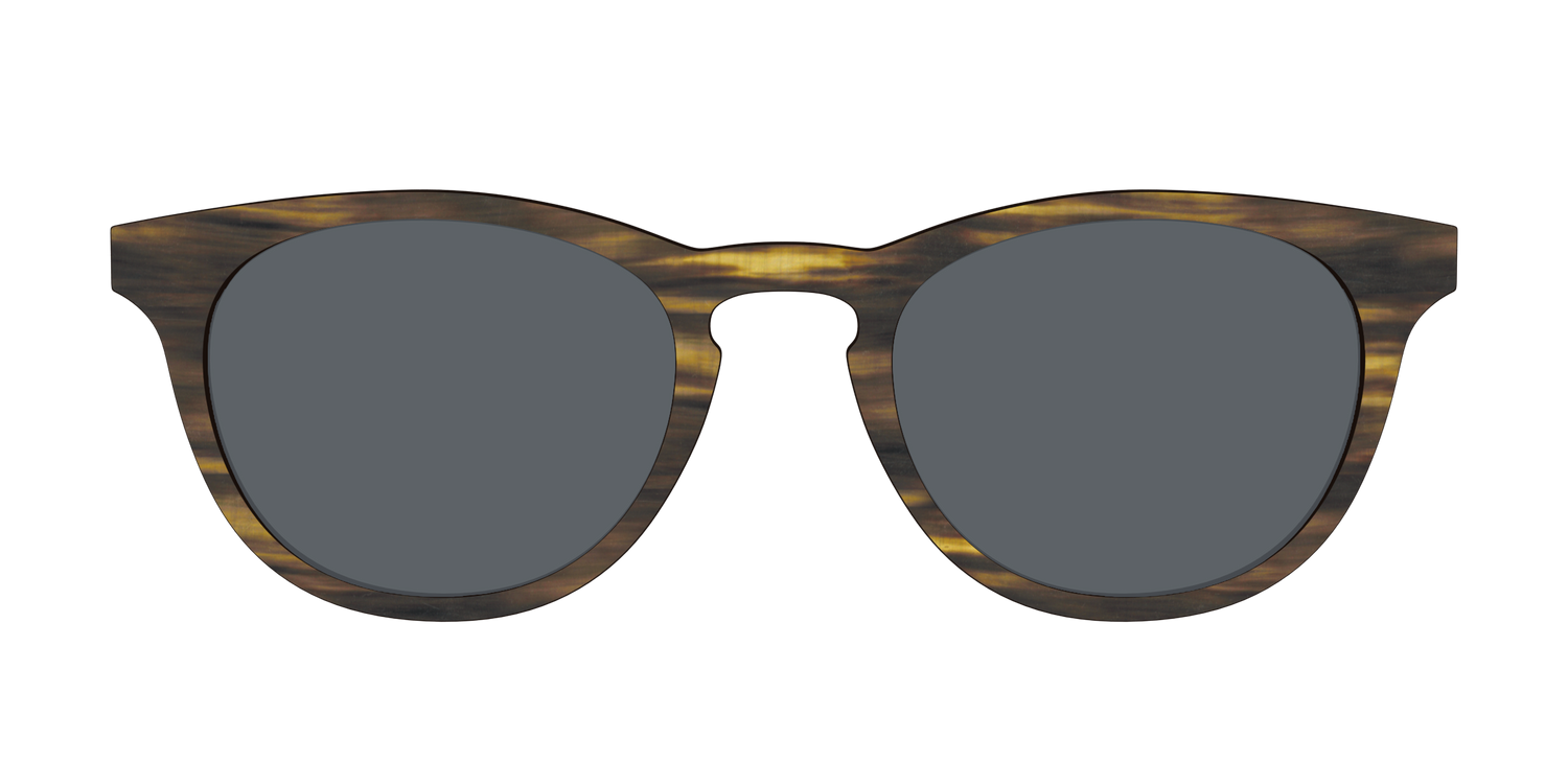 The Polarized Horn Sun Top - Front Top Image - Pair Eyewear