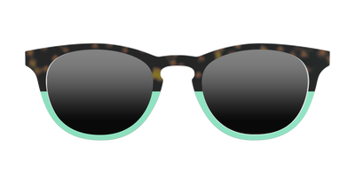 The Polarized Honeycomb Sun Top