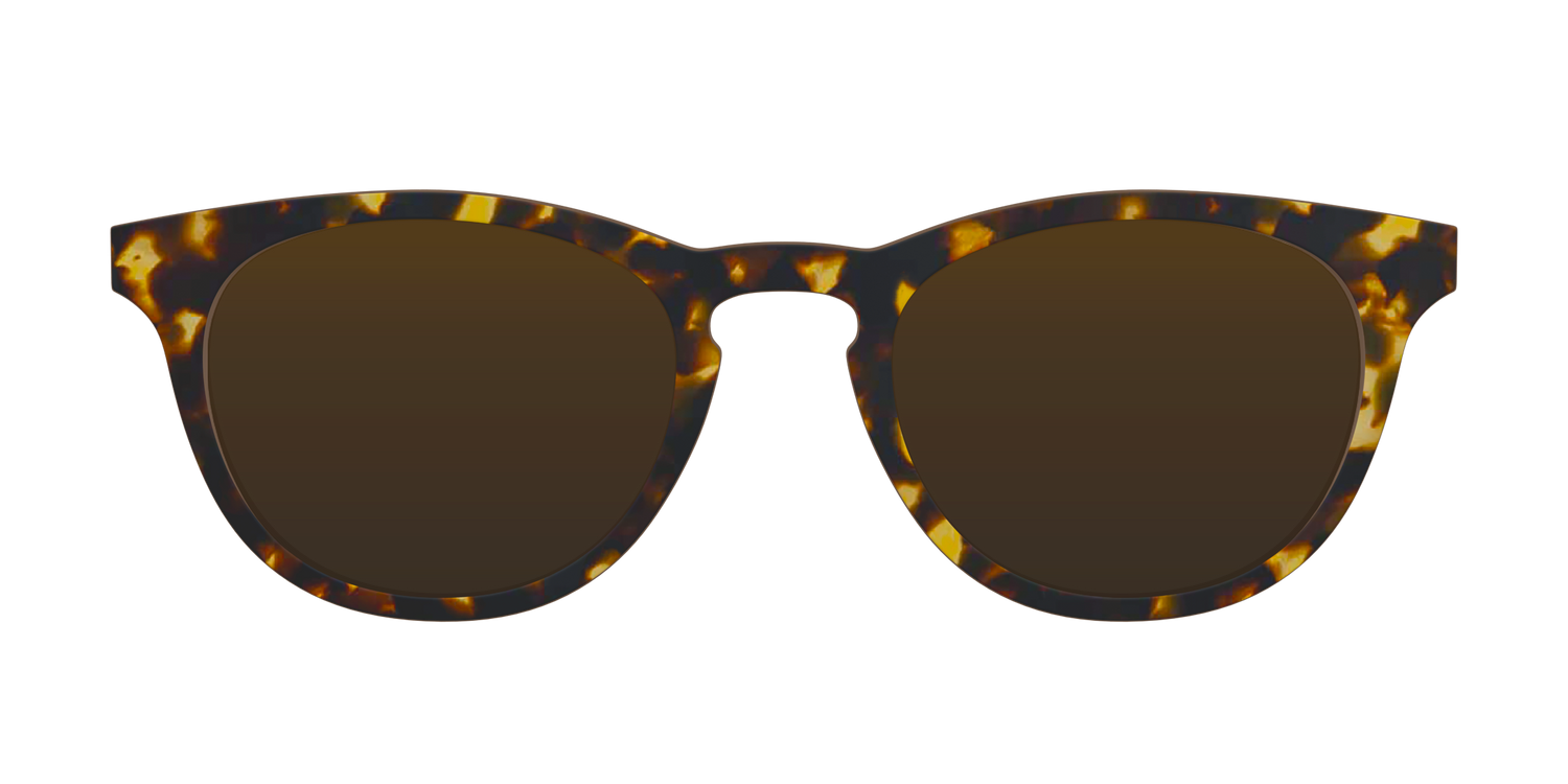 The Polarized Tortoise Sun Top - Front Top Image - Pair Eyewear