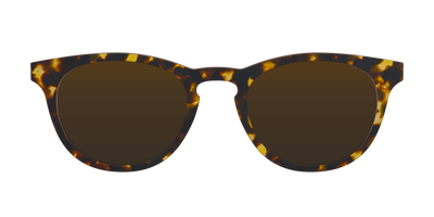 The Polarized Honeycomb Sun Top
