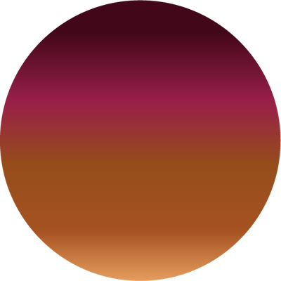 The Polarized Tortoise Sun Top