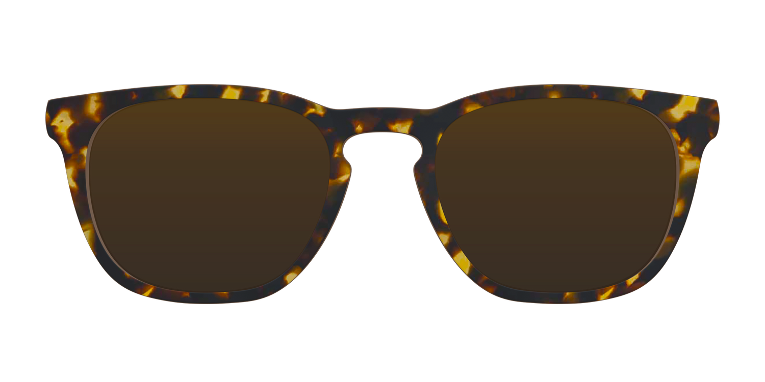 The Polarized Tortoise Sun Top - Front Top Image - Pair Eyewear